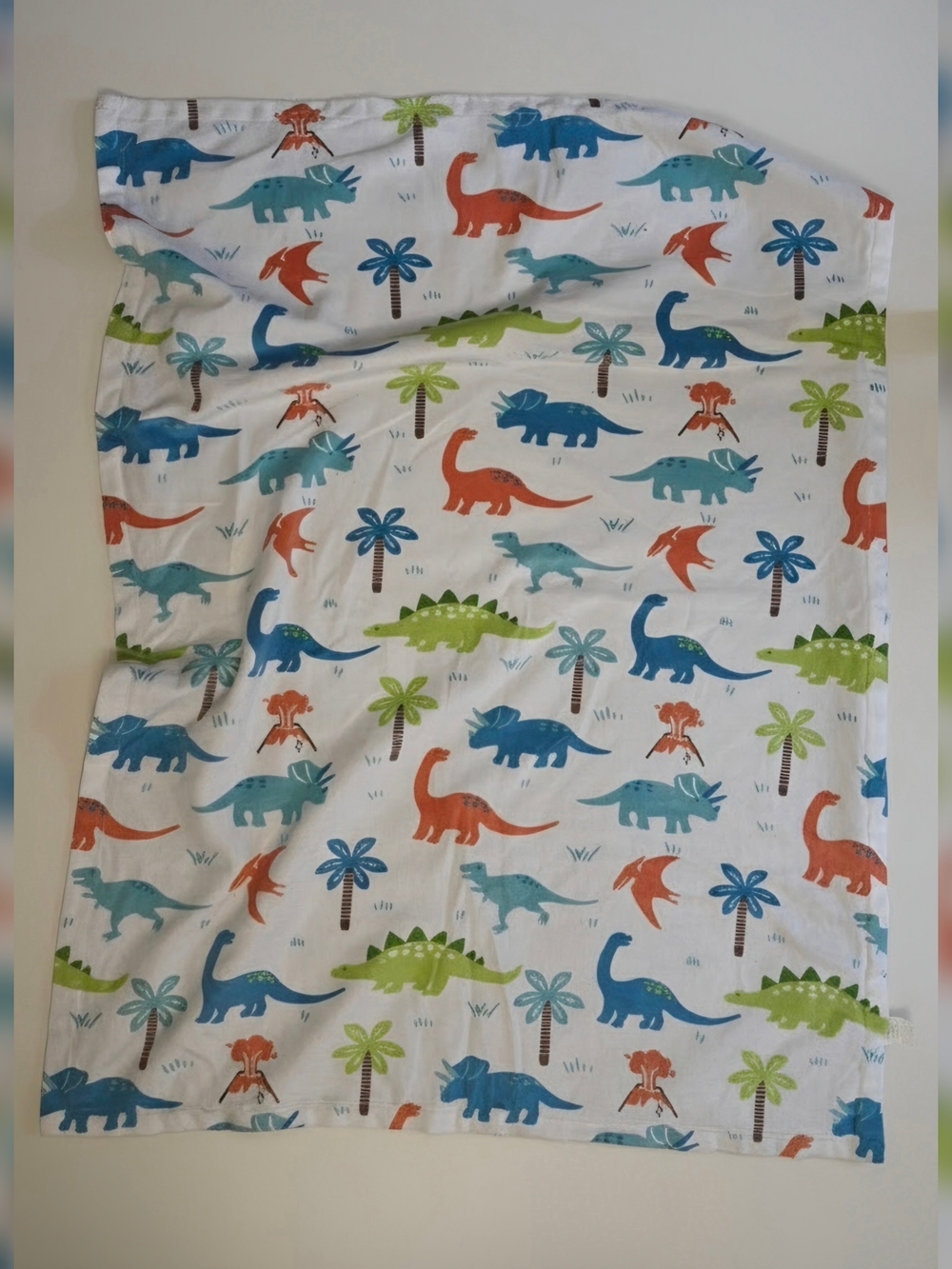 Dinosaur Blanket for Kids